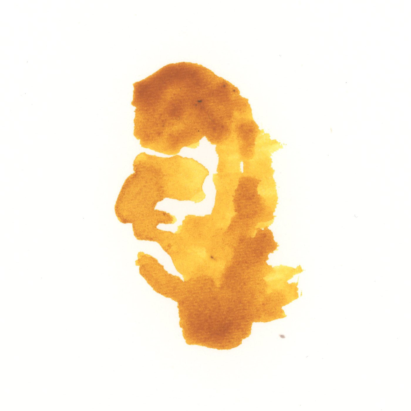 WC PFP #14